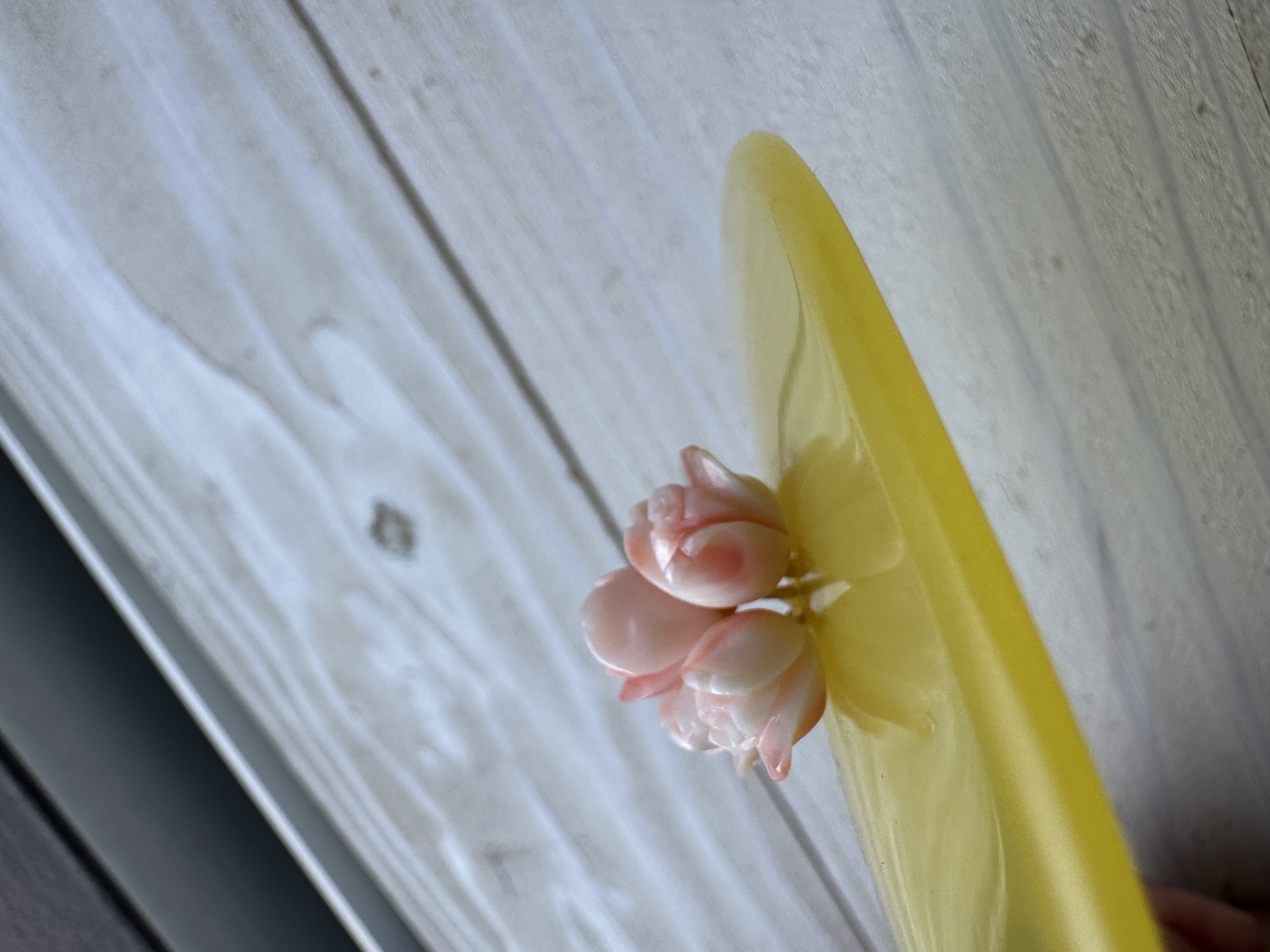 【送料無料】アウトレット処分品　宝石珊瑚　花彫刻5個付かんざし　飴色