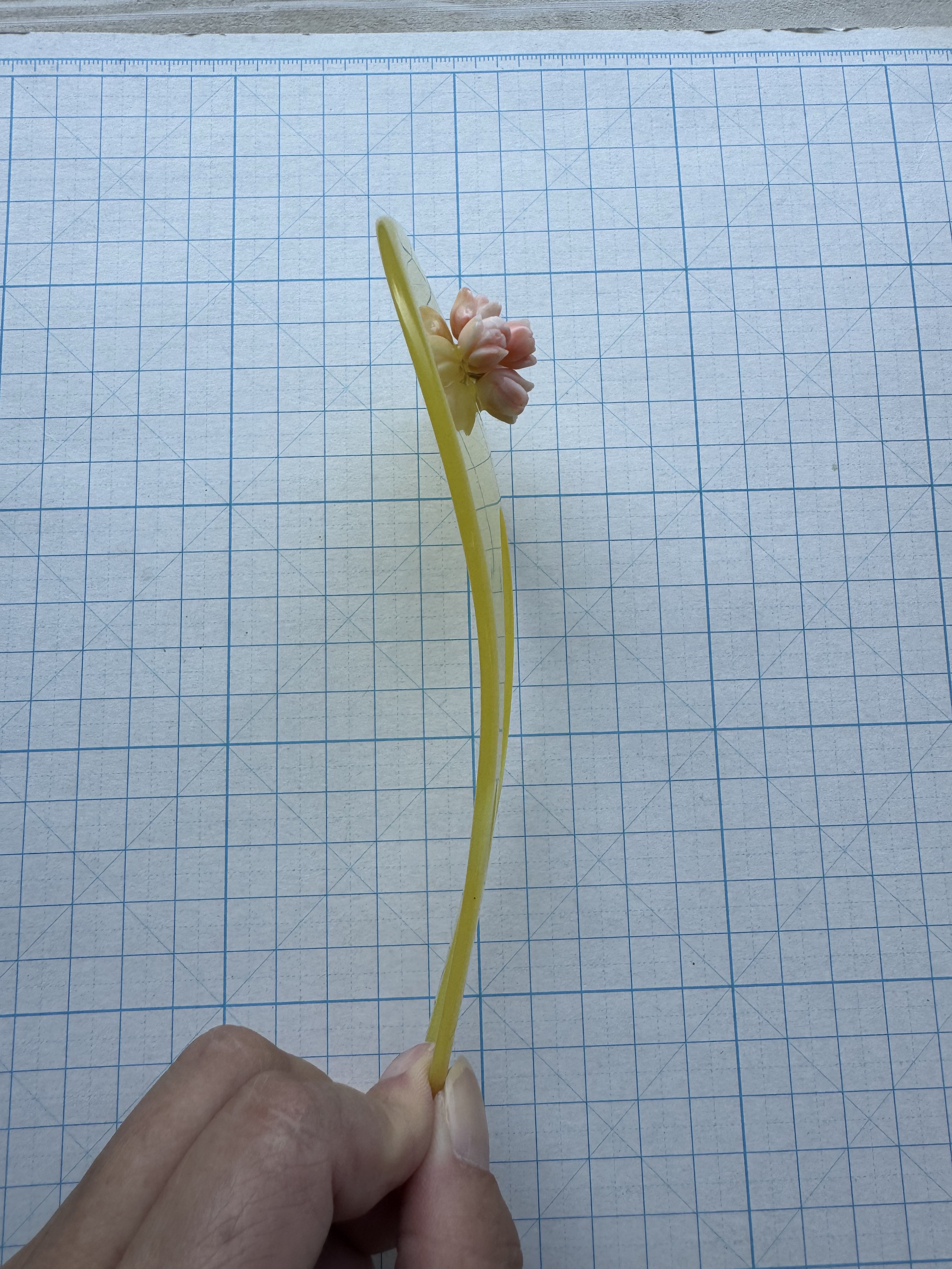 【送料無料】アウトレット処分品　宝石珊瑚　花彫刻5個付かんざし　飴色