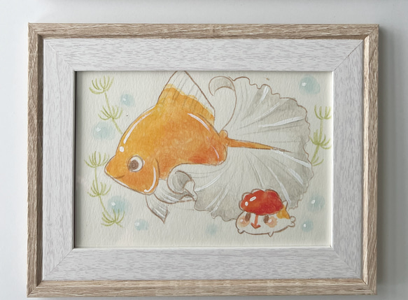 土佐錦 1枚目の画像