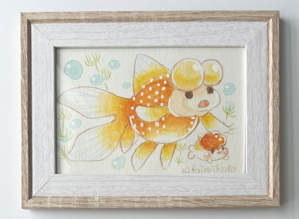 浜錦 1枚目の画像