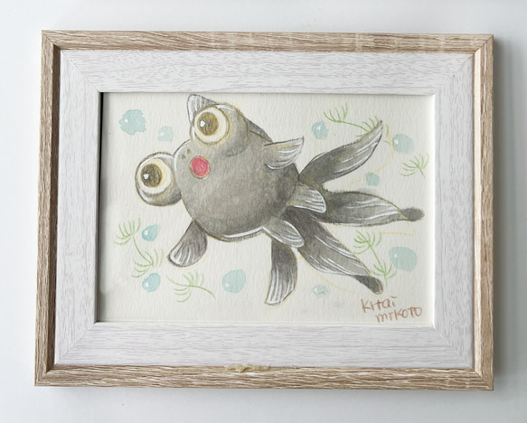 出目金 1枚目の画像