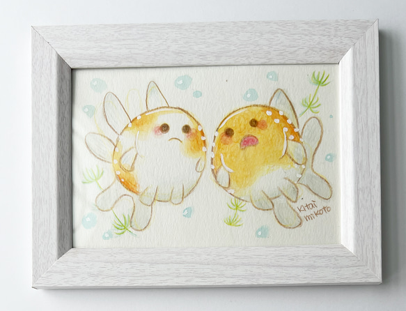 ピンポン2匹 1枚目の画像