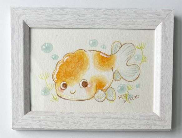 桜錦 1枚目の画像