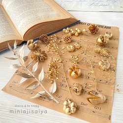 ドライフラワー　黒ホオズキ　500個 黒ほおずきドライフラワー - メルカリ