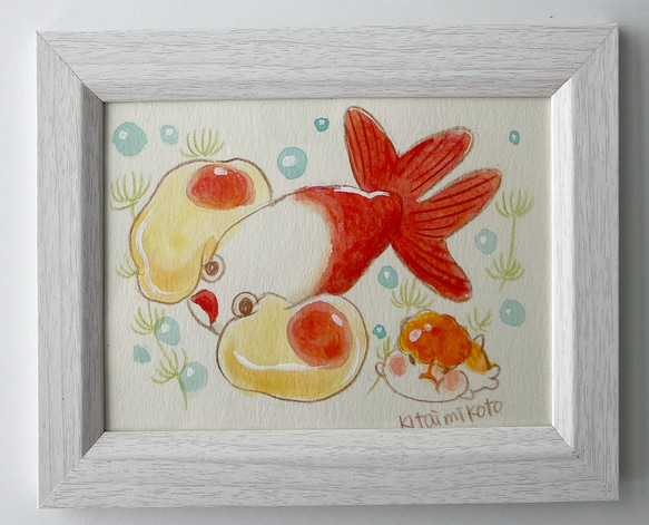 水泡眼 1枚目の画像