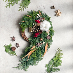 予約販売】フレッシュリース 