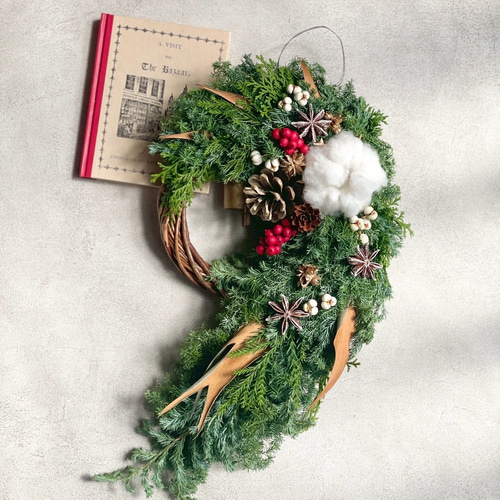 フレッシュリース 