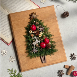 壁掛け ナチュラル クリスマスツリー / クリスマスツリー / 壁掛け