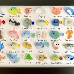 シーグラスアート☆No169図鑑　ギフト　プレゼント　動物園ヒーリングアート　猫　犬　うさぎ　動物　大図鑑 2枚目の画像