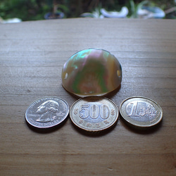 値下げ！沖縄産夜光貝（ヤコウガイ）ペンダントトップ 変形滴型 両面