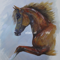 Mamedasan様のご注文の作品：「ブチ模様の馬」（墨絵・水彩画