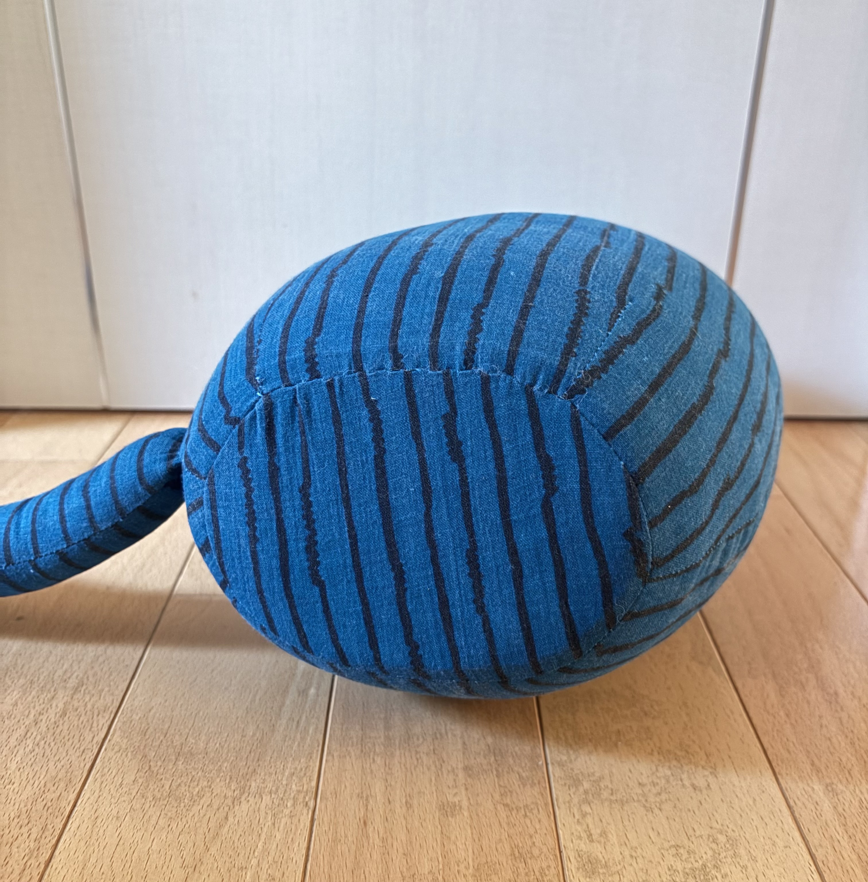 めがねをかけたねこ（スイカ）