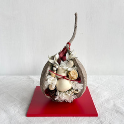 幸せを呼ぶ木の実・ブッダナッツ（ベルガムナッツ・ポプラコーン）S