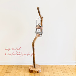 芸術的にうねる枝の流木スタンド ランタンやエアプラントを飾れる置物 北欧 照明 N107 9枚目の画像