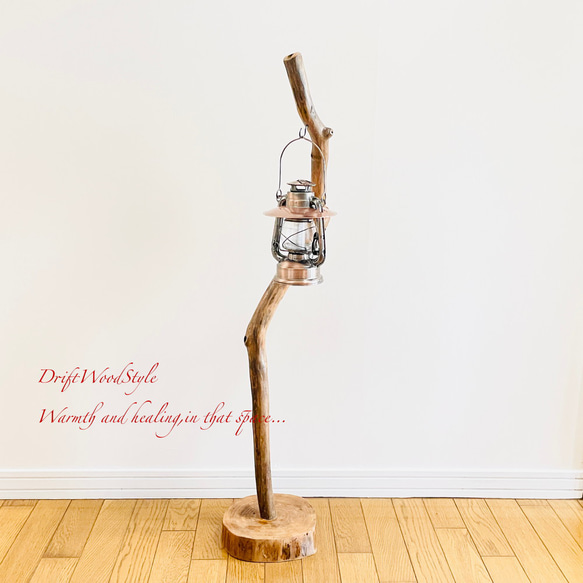 芸術的にうねる枝の流木スタンド ランタンやエアプラントを飾れる置物 北欧 照明 N107 9枚目の画像