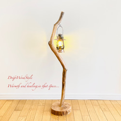 芸術的にうねる枝の流木スタンド ランタンやエアプラントを飾れる置物 北欧 照明 N107 13枚目の画像