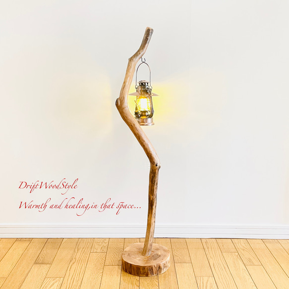 芸術的にうねる枝の流木スタンド ランタンやエアプラントを飾れる置物 北欧 照明 N107 13枚目の画像