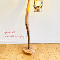 芸術的にうねる枝の流木スタンド ランタンやエアプラントを飾れる置物 北欧 照明 N107 6枚目の画像