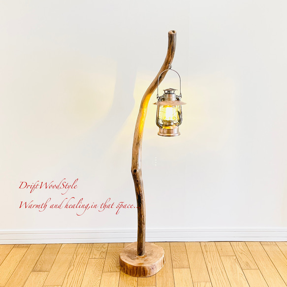 芸術的にうねる枝の流木スタンド ランタンやエアプラントを飾れる置物 北欧 照明 N107 1枚目の画像