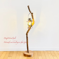 芸術的にうねる枝の流木スタンド ランタンやエアプラントを飾れる置物 北欧 照明 N107 7枚目の画像