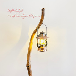 芸術的にうねる枝の流木スタンド ランタンやエアプラントを飾れる置物 北欧 照明 N107 5枚目の画像