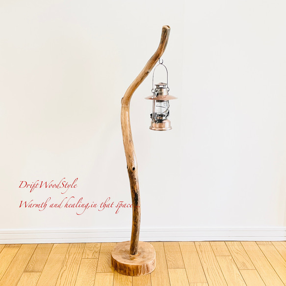 芸術的にうねる枝の流木スタンド ランタンやエアプラントを飾れる置物 北欧 照明 N107 3枚目の画像