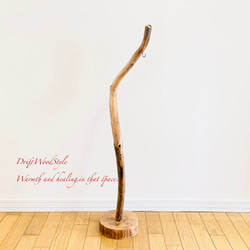 芸術的にうねる枝の流木スタンド ランタンやエアプラントを飾れる置物 北欧 照明 N107 14枚目の画像