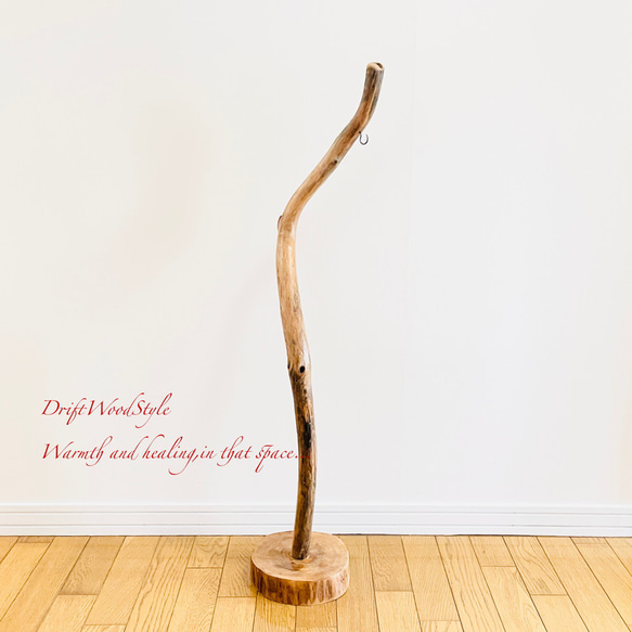 芸術的にうねる枝の流木スタンド ランタンやエアプラントを飾れる置物 北欧 照明 N107 14枚目の画像