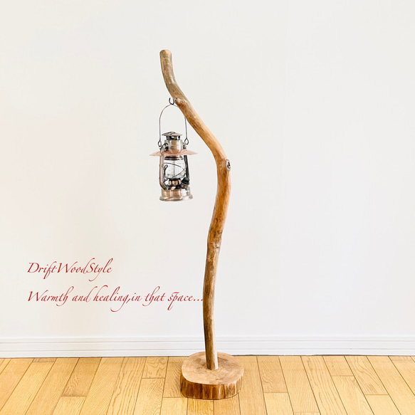 芸術的にうねる枝の流木スタンド ランタンやエアプラントを飾れる置物 北欧 照明 N107 12枚目の画像