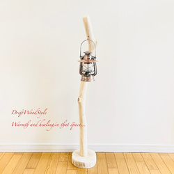 無垢の流木を磨いた白い流木スタンド ランタンやエアプラントを飾れる置物 北欧 照明 N108 9枚目の画像