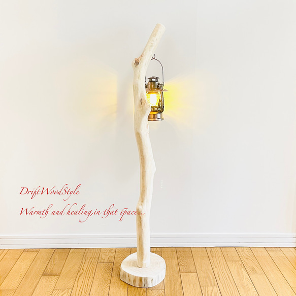 無垢の流木を磨いた白い流木スタンド ランタンやエアプラントを飾れる置物 北欧 照明 N108 13枚目の画像