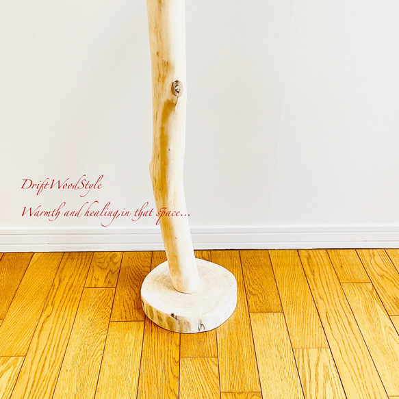 無垢の流木を磨いた白い流木スタンド ランタンやエアプラントを飾れる置物 北欧 照明 N108 6枚目の画像