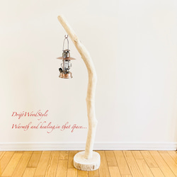 無垢の流木を磨いた白い流木スタンド ランタンやエアプラントを飾れる置物 北欧 照明 N108 12枚目の画像