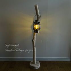 無垢の流木を磨いた白い流木スタンド ランタンやエアプラントを飾れる置物 北欧 照明 N108 8枚目の画像