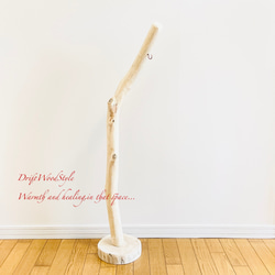 無垢の流木を磨いた白い流木スタンド ランタンやエアプラントを飾れる置物 北欧 照明 N108 14枚目の画像