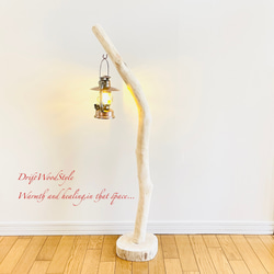 無垢の流木を磨いた白い流木スタンド ランタンやエアプラントを飾れる置物 北欧 照明 N108 10枚目の画像