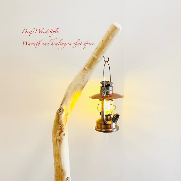無垢の流木を磨いた白い流木スタンド ランタンやエアプラントを飾れる置物 北欧 照明 N108 5枚目の画像