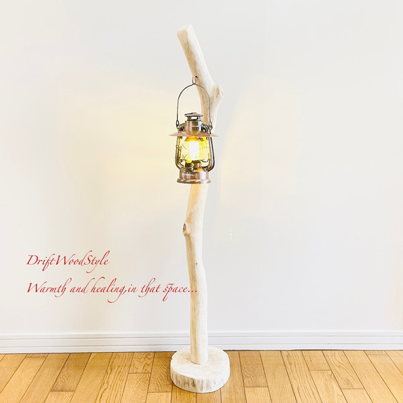 無垢の流木を磨いた白い流木スタンド ランタンやエアプラントを飾れる置物 北欧 照明 N108 7枚目の画像