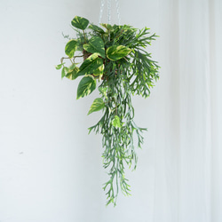 コウモリランとポトスファーングリーンのミックスハンギングバスケット【フェイクインテリア】 1枚目の画像