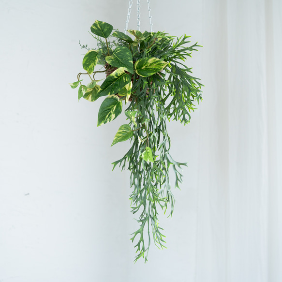 コウモリランとポトスファーングリーンのミックスハンギングバスケット【フェイクインテリア】 1枚目の画像