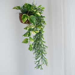 コウモリランとポトスファーングリーンのミックスハンギングバスケット【フェイクインテリア】 4枚目の画像