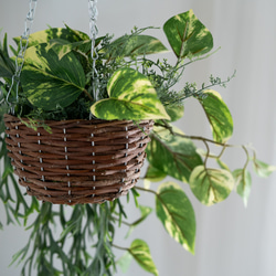 コウモリランとポトスファーングリーンのミックスハンギングバスケット【フェイクインテリア】 6枚目の画像