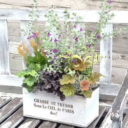 レウコフィラム＆ヒューケラ」の冬も楽しめるカラーリーフ寄せ植え