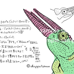 無の生き物たちのロール付箋 8枚目の画像