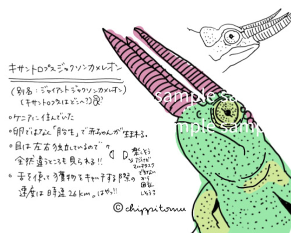 無の生き物たちのロール付箋 8枚目の画像