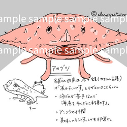 無の生き物たちのロール付箋 7枚目の画像
