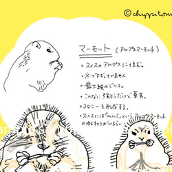 無の生き物たちのロール付箋 10枚目の画像