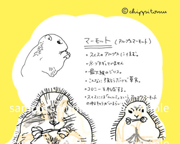 無の生き物たちのロール付箋 10枚目の画像