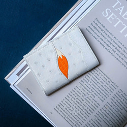 キツネ財布　ミニお財布　オーストリッチ 6枚目の画像