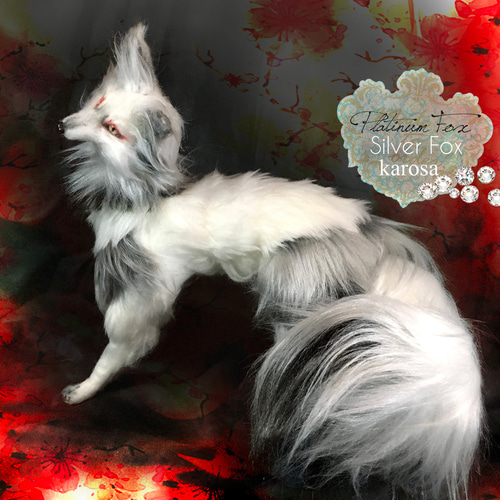 プラチナキツネ 銀狐 全身可動 完全オリジナル キツネ 狐 妖狐 羊毛